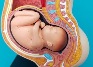 Ejercicios de Kegel durante el embarazo